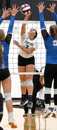 Lady Cub senior Kate Humphreys (9) goes up to play the ball at the net against Grandview last Friday. Photo courtesy of Brett Voss’ The Sports Buzz