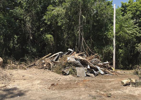 A piece of property owned by the City of Meridian was cleared last week by a city council member and a few city workers. Nathan Diebenow | Meridian Tribune