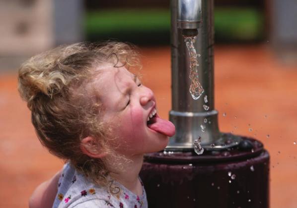 Experts advise to drink an adequate amount of water if you’re out in the sun, even if you’re not especially thirsty. Laura McKenzie | Texas A&amp;M AgriLife