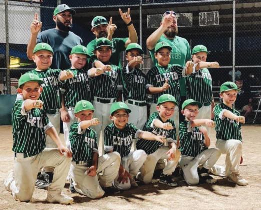 The 6u (above) and 8u (below) Clifton Cub youth baseball teams both advanced to play in State tournaments this week. Courtesy Photos