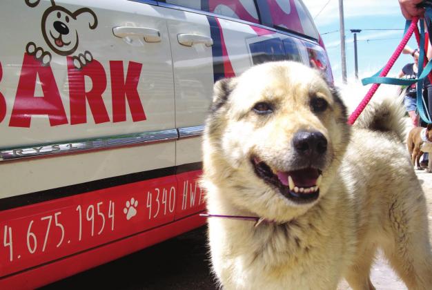 BARK will be giving away $20,000 in cash prizes during their first Bass Fishing Tournament at Lake Whitney on Sept. 11, with proceeds from the event benefiting the rescue. Photo Courtesy BARK