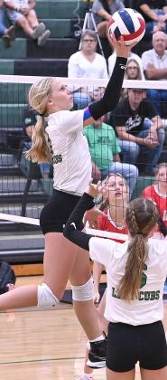 Lady Cub freshman Brystel Wise (3) touches the ball over the net for the kill in showdown against Whitney. Photo courtesy of Brett Voss’ The Sports Buzz