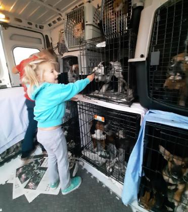 A happy Colorado recipient pets Dalmation puppies. The BCSN van travels to Colorado once a month. Contributed photo